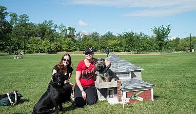 Paws in Motion 2017 - A&S Homes - Home Builders Winnipeg